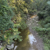 Newell Run